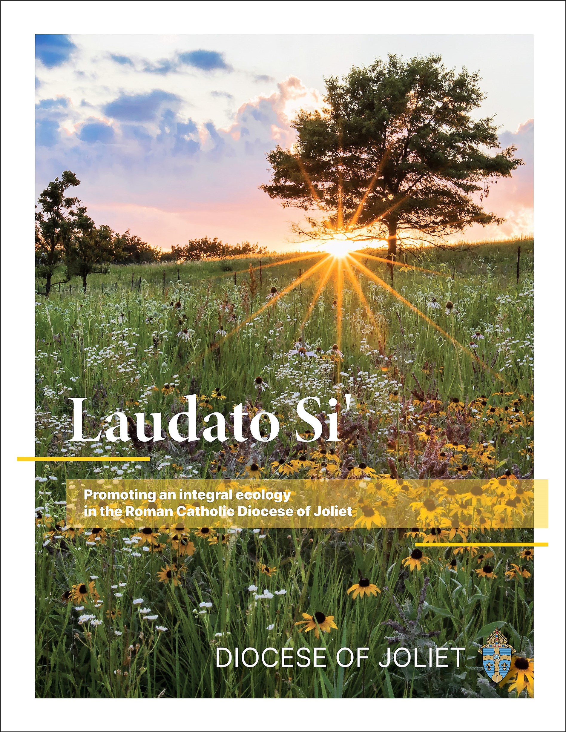 Laudato Si' Action Plan